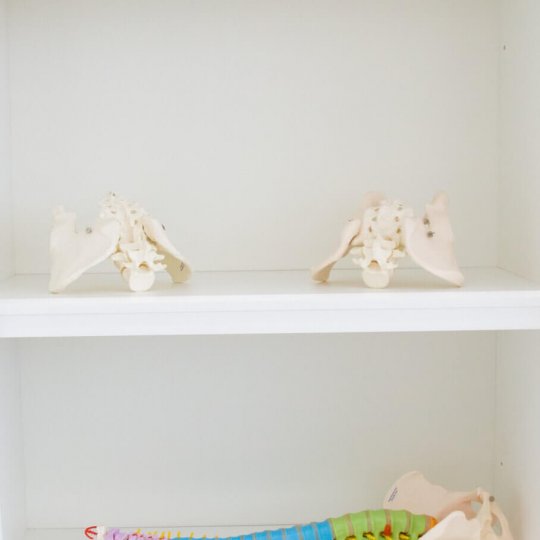 laboratorios-laboratorios-91