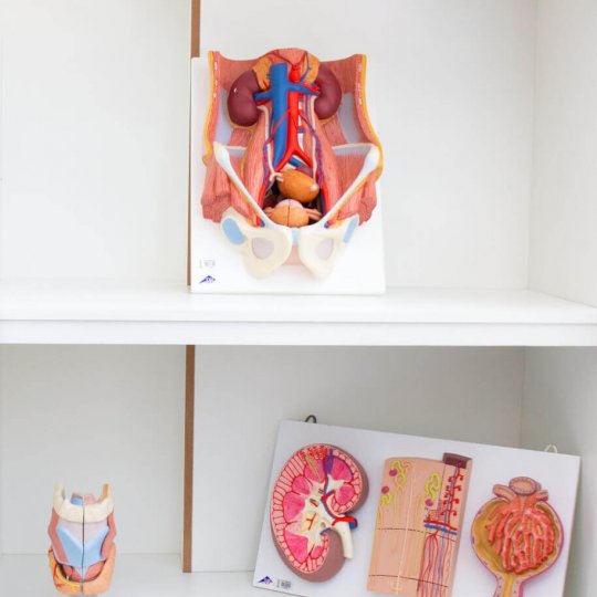 laboratorios-laboratorios-83