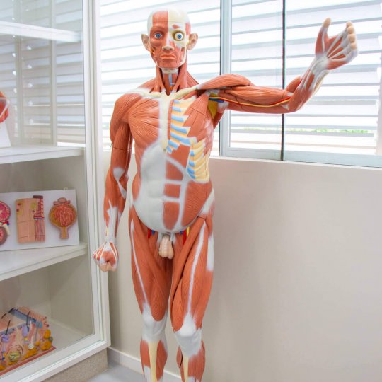 laboratorios-laboratorios-84