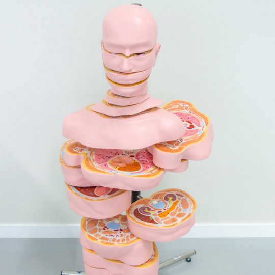 laboratorios-laboratorios-85