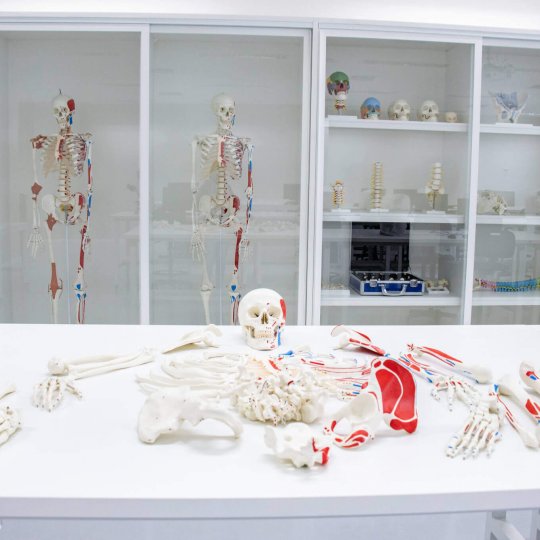 laboratorios-laboratorios-86