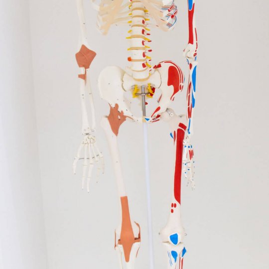 laboratorios-laboratorios-89